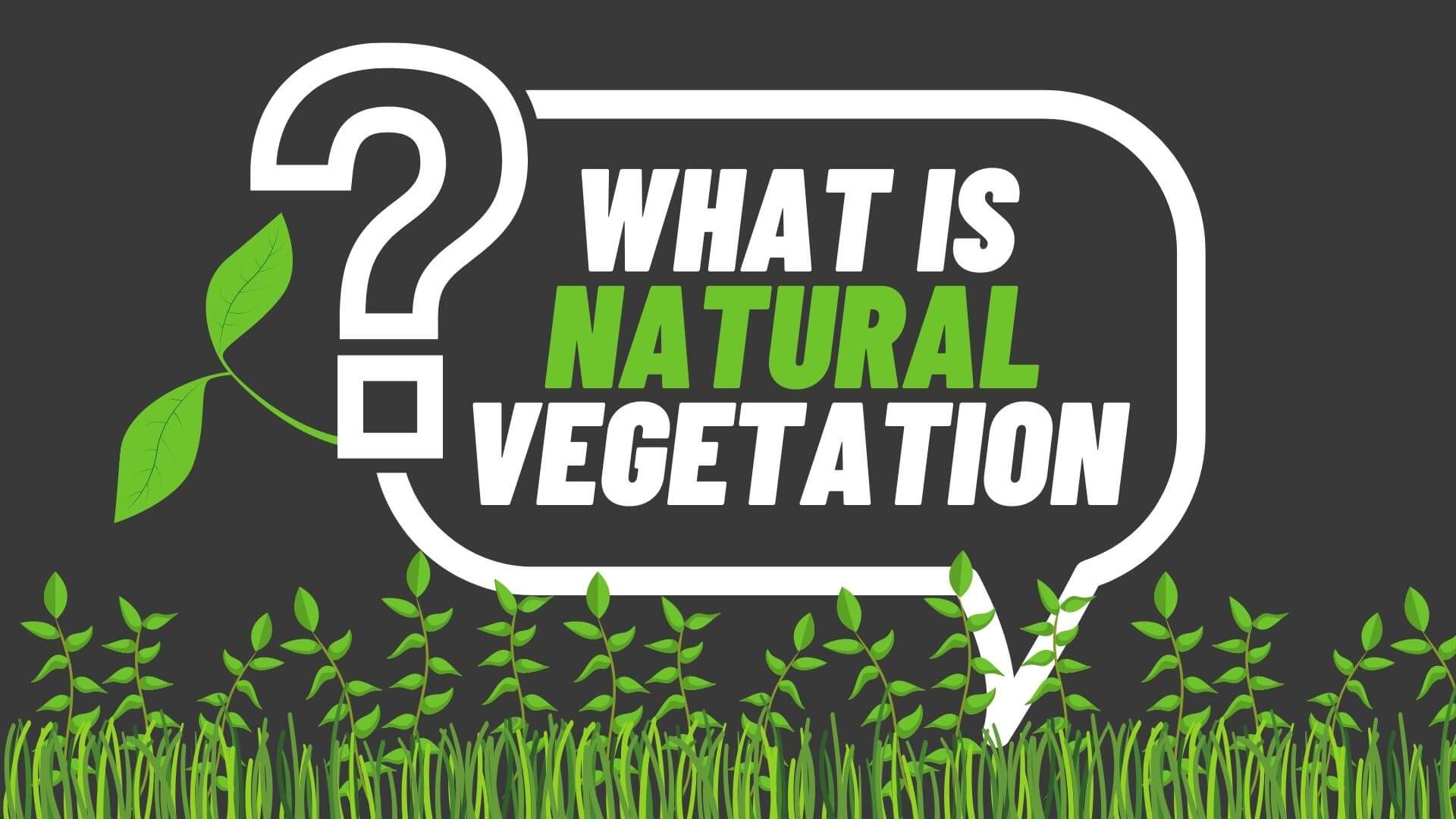 What is Natural Vegetation