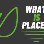 What is Placeit By Envato?