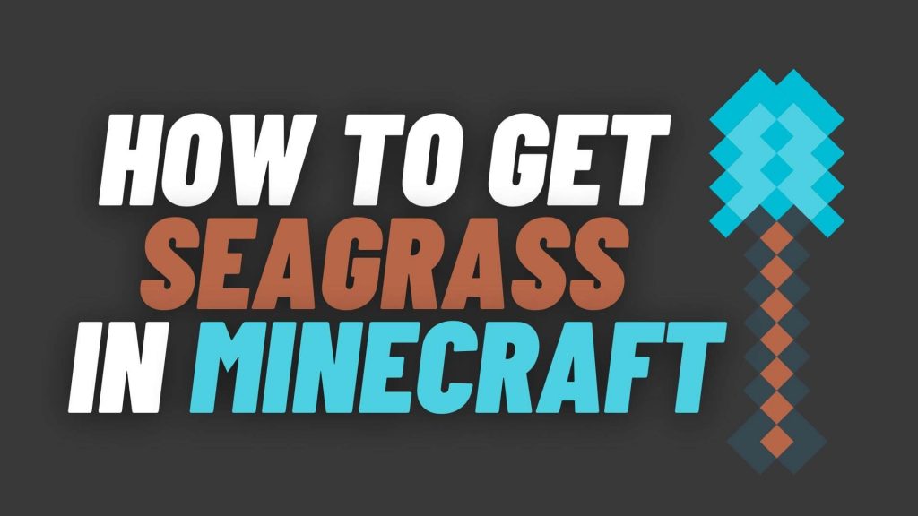 How To Get Seagrass In Minecraft Easy Steps BingoTingo