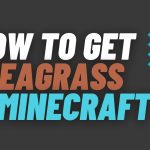 How To Get Seagrass in Minecraft
